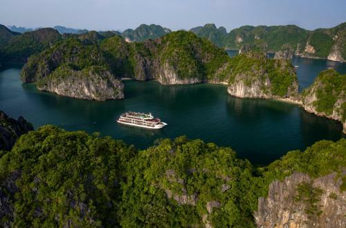 Dora Cruise