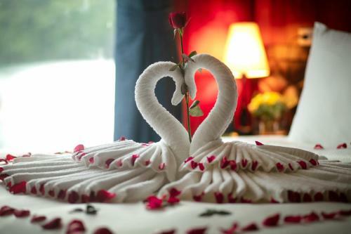 Flamingo Luxury Cruises