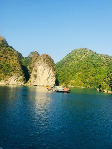 Flamingo Luxury Cruises