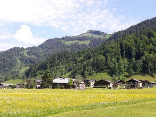 Apartamento Haus Diedams