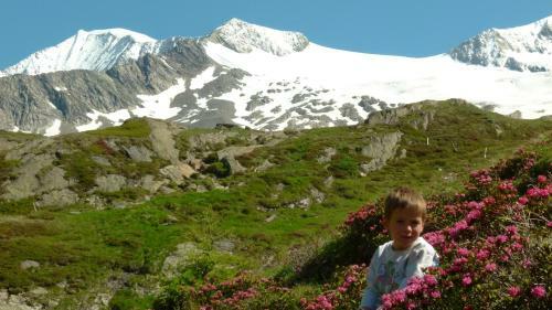Agroturismo Innerkratzerhof