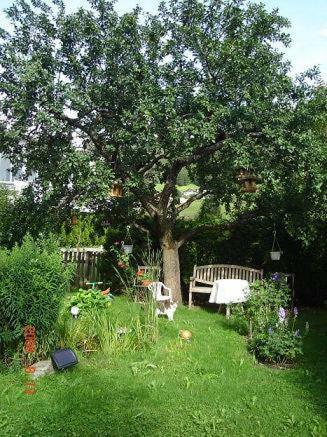 Apartamento Ferienwohnungen Obex