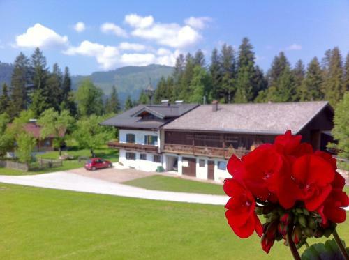 Hostal Pension Sunnbichl