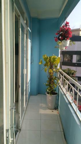 Nhat Mai Homestay