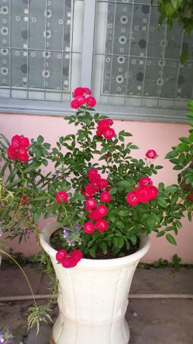 Apartamento Furin Homestay
