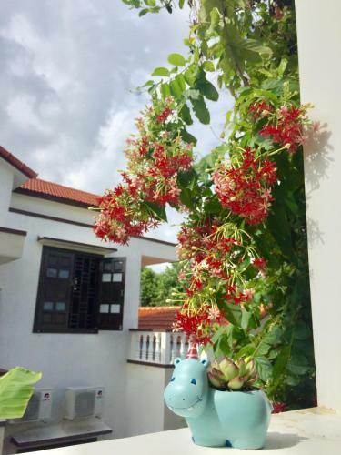 Holy Land Homestay