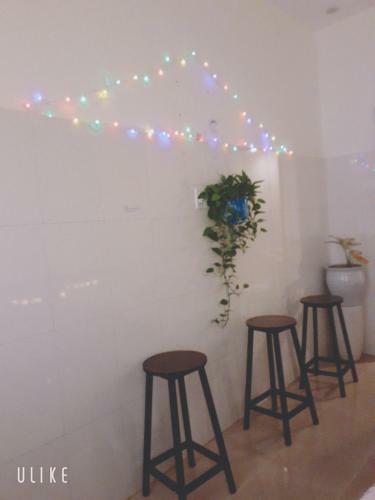 Holy Land Homestay