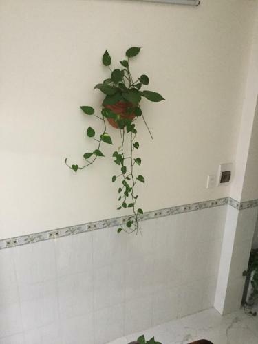 Hostal Sunny Homestay Quy Nhon