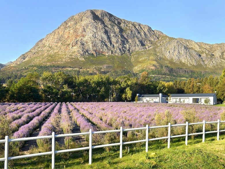 Hostal Lavender Farm Guest House
