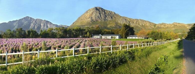Hostal Lavender Farm Guest House