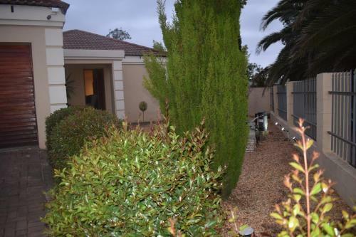 Soeteweide North B&B