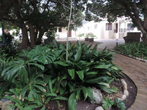 Hostal Milkwood Lodge