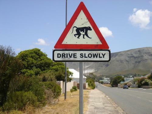 Hostal Milkwood Lodge