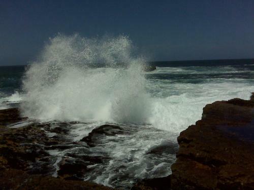 Hostal Milkwood Lodge