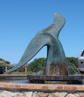 Hostal Milkwood Lodge