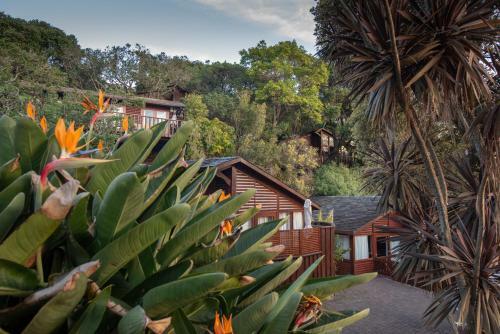 Hotel Under Milkwood Resort