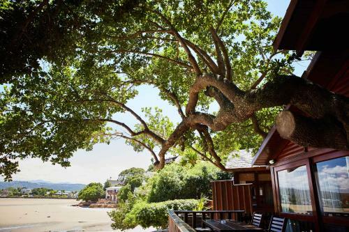 Hotel Under Milkwood Resort