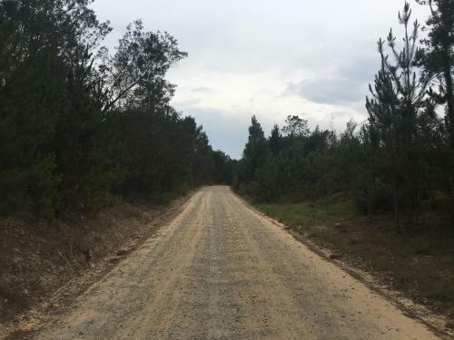 Knysna Forest View