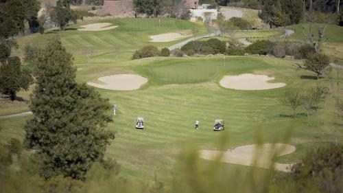 Knysna Forest View