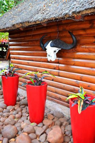 Lodge Kruger Wielewaal Restcamp
