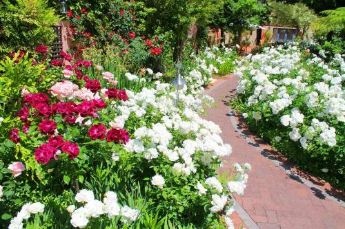 Montagu Country Hotel