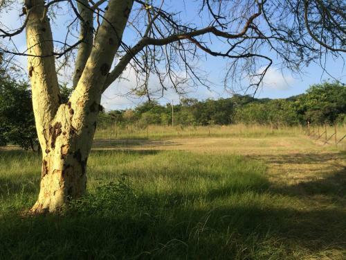 Lodge Near2numbi