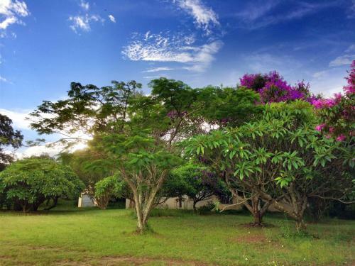 Lodge Near2numbi