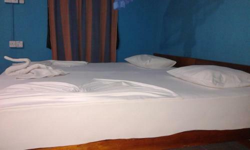 Hostal Levi's Tourist ? Anuradhapura