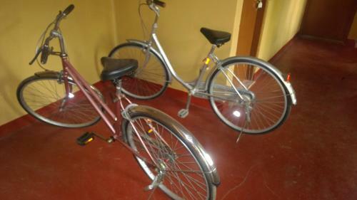 Hotel Flamingo