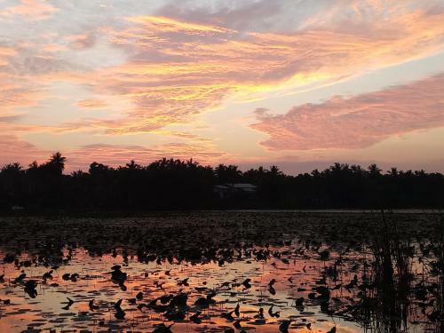 Hostal Heritage Lake View