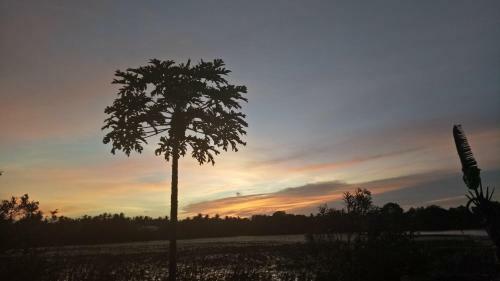 Hostal Heritage Lake View
