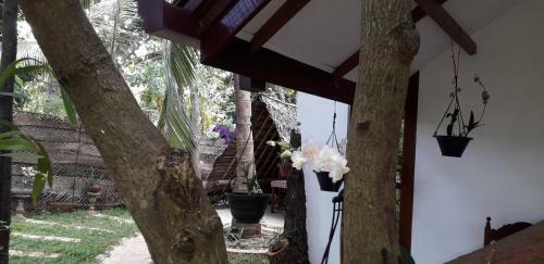 Hotel Yaluwa Tourist Rest