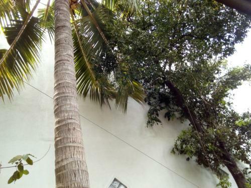 Hostal Ijini