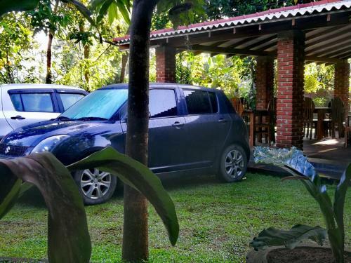 Bed & Breakfast Green Cottage