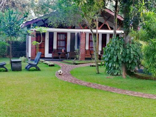 Bed & Breakfast Green Cottage