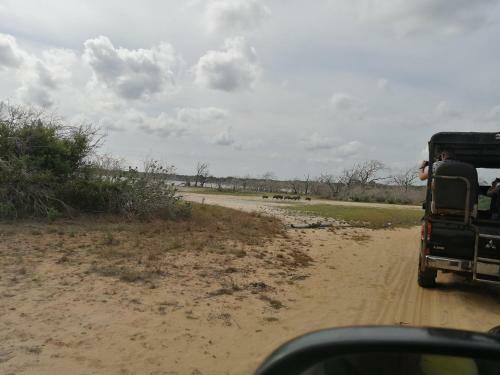 Bed & Breakfast Green Cottage