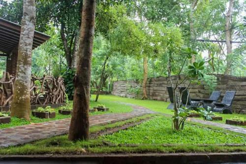 Bed & Breakfast Green Cottage