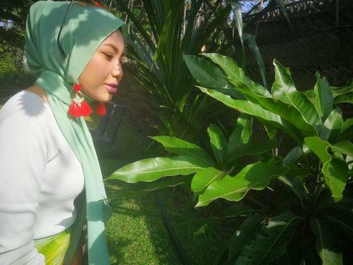 Bed & Breakfast Green Cottage