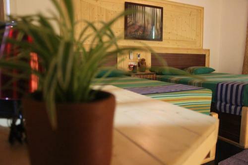 Bed & Breakfast Green Cottage