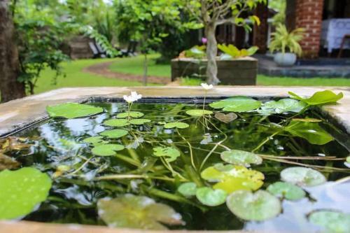 Bed & Breakfast Green Cottage