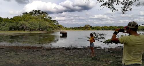 Bed & Breakfast Green Cottage