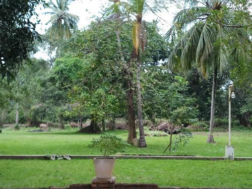 Hostal The Heritage Blue-anuradhapura