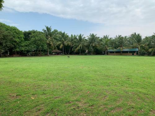 Dambulla Lake Hotel