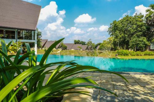 Hotel Liyya Water Villas