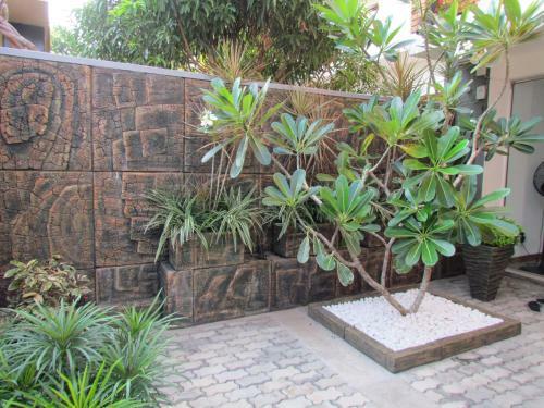 Bed & Breakfast Kmc Villa