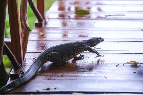 Hotel Nature Cabanas & Floating Restaurant