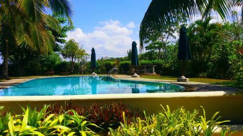 Asian Jewel Boutique Hotel