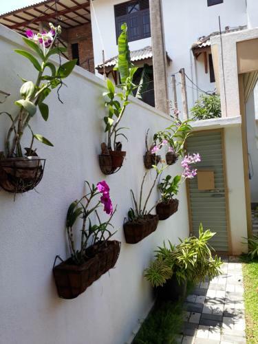 Best Lucky Home Stay
