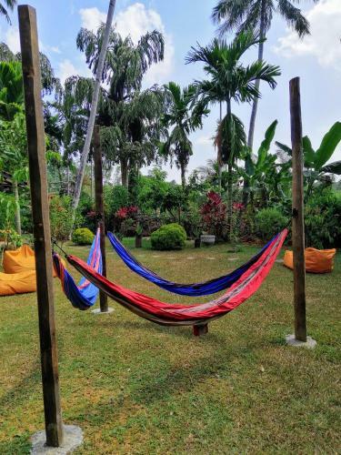 Hostal Your Dream Home - Mirissa