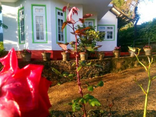 Nuwara Eliya Mountain View Home Stay